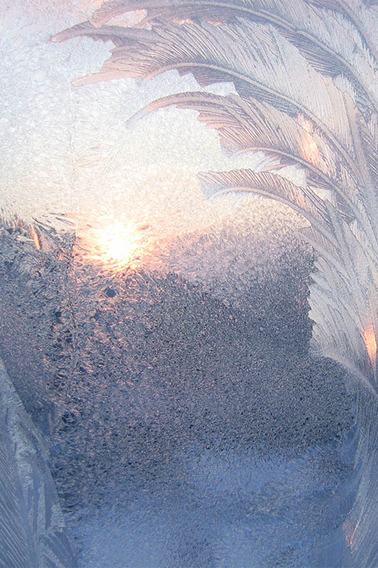 frost and sun
