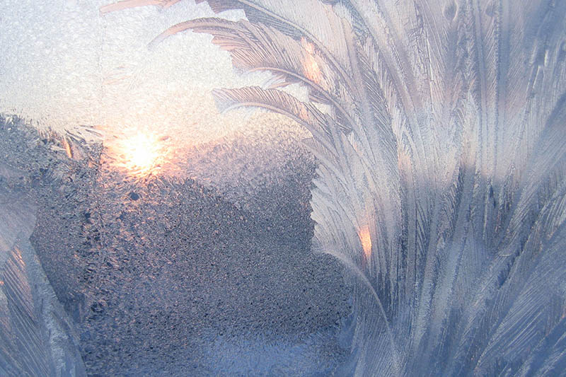 frost and sun