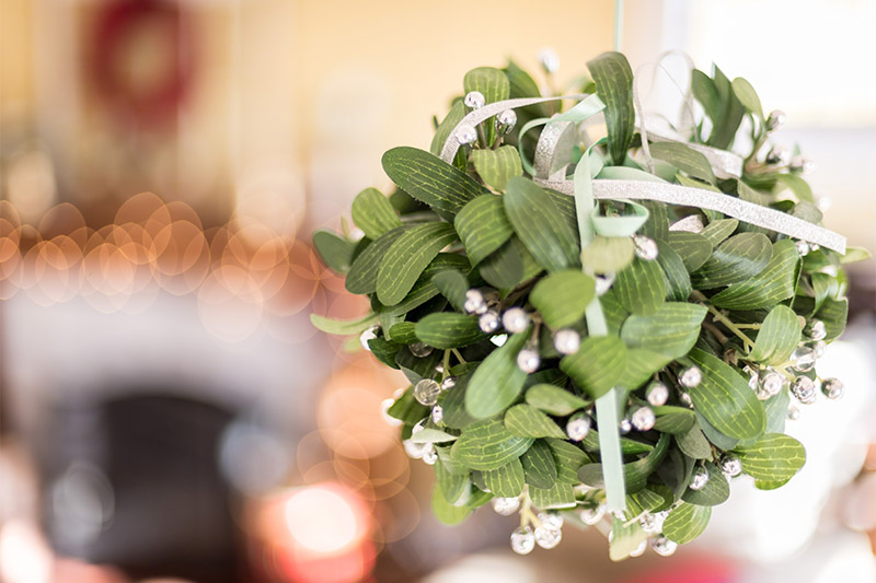 mistletoe hanging in house with fireplace blurred in background